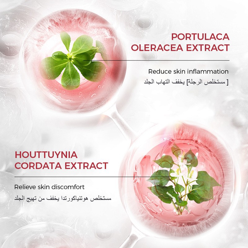 Concentrated Extracts Moisturizing & Repairing Frozen Mask factory